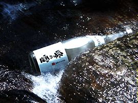 伏流水
