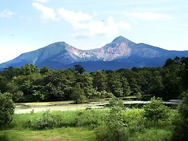 レンゲ沼