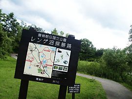 遊歩道