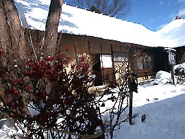 まこと食堂