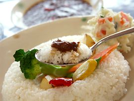薬膳カレーとご飯