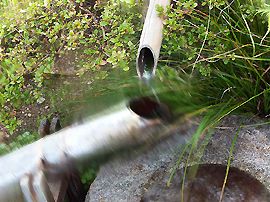 弘法大師