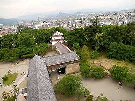 展望台から