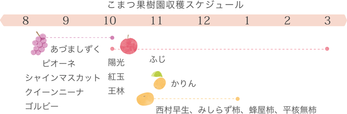 収穫スケジュール