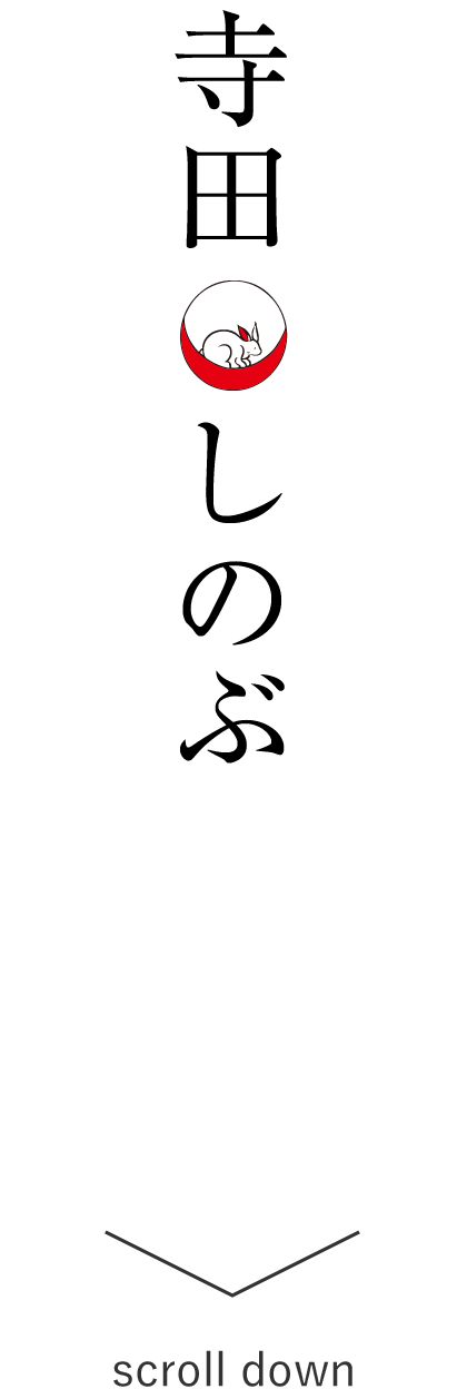 寺田しのぶ Shinobu Terada Web-site