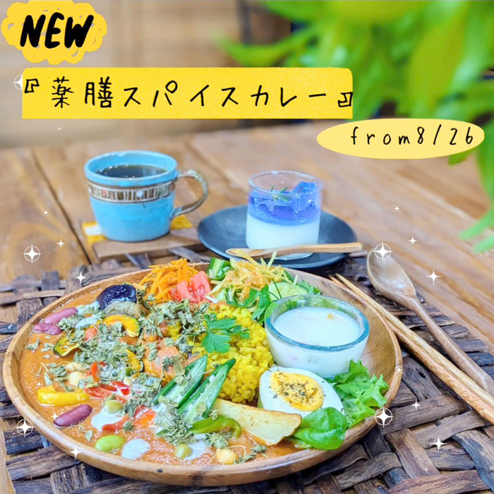 薬膳カレー